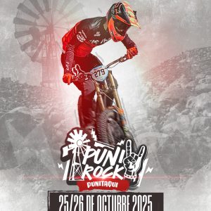 TICKET PUNI ROCK 2025