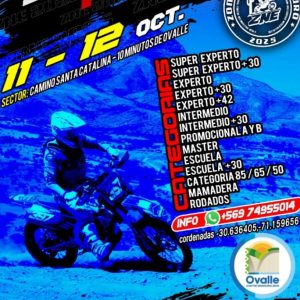 TICKET CATEGORIA INFANTIL - ZONAL NORTE 8 FECHA 2025