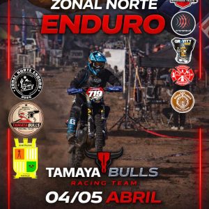 TICKET CATEGORIA INFANTIL - ZONAL NORTE 2 FECHA 2026